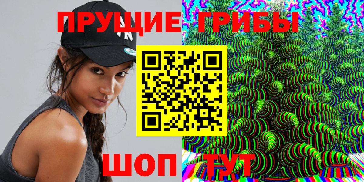 Псилоцибиновые грибы GOLDEN TEACHER  Вход с VPN  Карабулак 